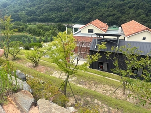 [단독] ‘농지매입’ 정동영, 농사 안 짓고 지목 바꿔 집 지었다