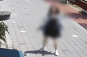 현직 20대 여경 대낮 흉기 들고 남원 도심 활보…현행범 체포