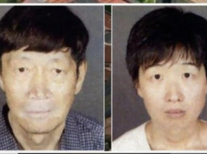 아동학대 부부 집 가봤더니…대리모 이용 출산 아이 등 21명이나