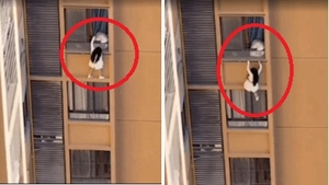 ‘아내에 불륜 들킬까봐’ 아파트 외벽에 매달린 내연녀