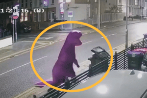 쓰레기 투기 누군지 CCTV 확인해보니…‘공룡 옷’입고 유유히(영상)