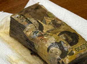 현금 1890만원 신문지 싸서 보관했다 ‘이렇게 됐다’…얼마나 돌려받을 수 있을까?