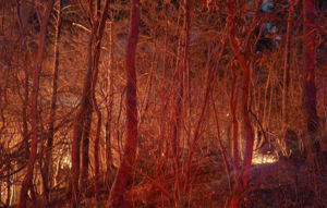 [속보]‘밤새도록 탔다’…부산 산불 10시간째, 해뜨면 헬기 13대 투입