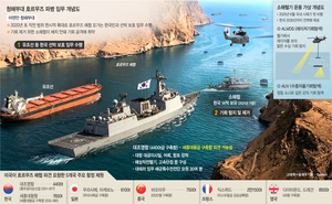 호르무즈 파병 땐 대조영함 우선 검토… 일본은 6100t급 아케보노함 유력