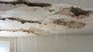 [속보]‘자다가 천장서 물 폭탄’…아파트 배관 터져 30여명 대피