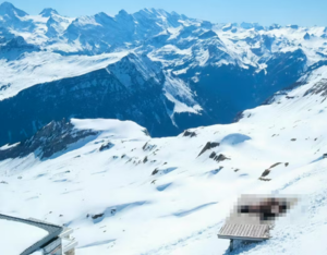 알프스 눈밭서 성관계한 커플, 인터넷 생중계돼 논란