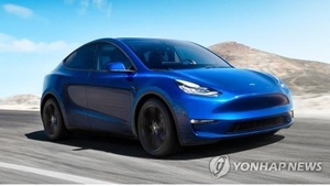 “고맙다, 너희들 때문이다”…테슬라, 기아 제치고 국내 전기차 시장 사상 첫 1위