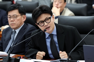딸 수사 무마? 한동훈 “개떼처럼 달려든 결과가 이거냐?”