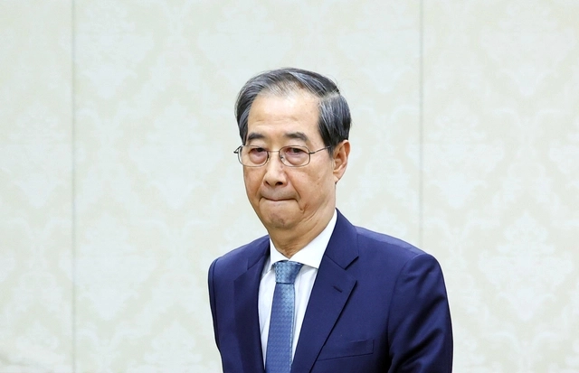 뉴시스