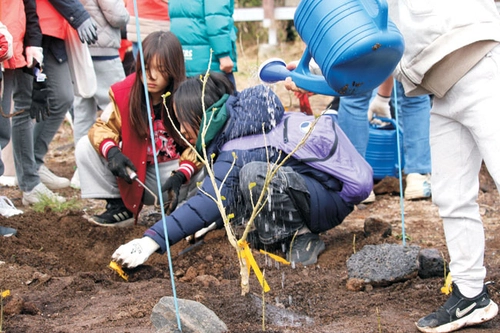 지난 5일 식목일을 맞아 제주 한림읍 비양도에서 진행한 황근 군락지 복원 행사. 한국관광공사 제공