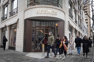 “에르메스, 트럼프에 손들었다”…내달 미국서 가격인상