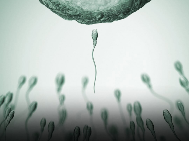 스펌레이싱(SPERM RACING) 인스타그램 캡쳐