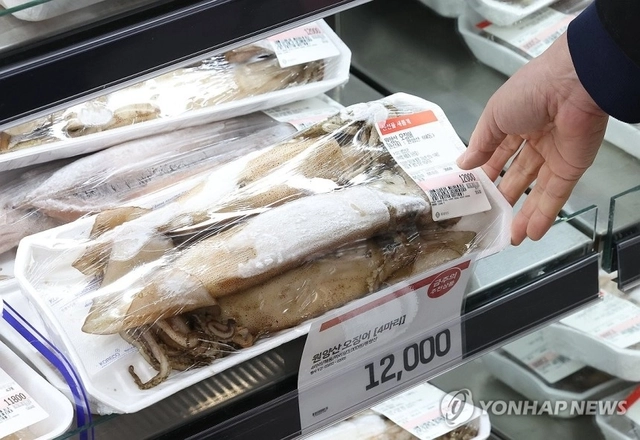 지난 3일 서울 한 대형마트에 오징어가 진열돼 있다. 연합뉴스