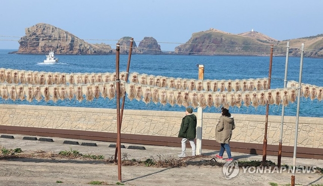 지난 7일 제주시 한경면 고산리 자구내 포구 건조대에 오징어들이 걸려 있다. 연합뉴스