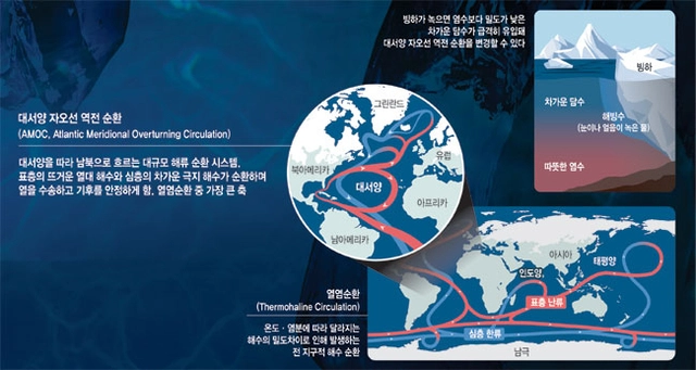 그래픽 = 권호영 기자
