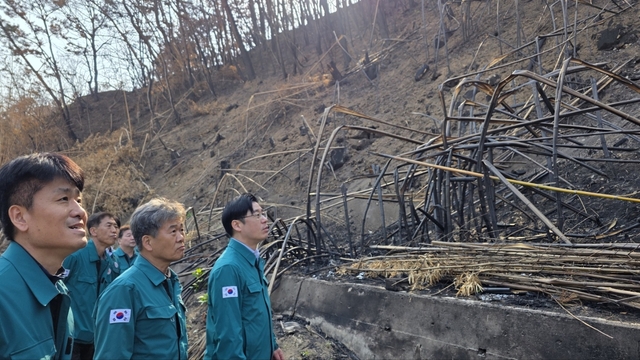 오병권(오른쪽) 행정안전부 자연재난실장이 25일 경북 영덕군 산불 피해지역을 방문해 사면재해 대비 현장 상황을 점검하고 있다. 행정안전부 제공