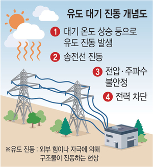 극심한 기온변화 탓 대기진동… 송전선 불안정이 정전유발