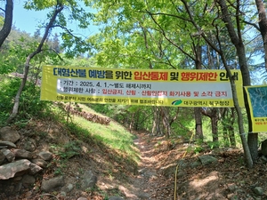 대구 산불, 23시간 만에 주불 진화…인명피해 없어