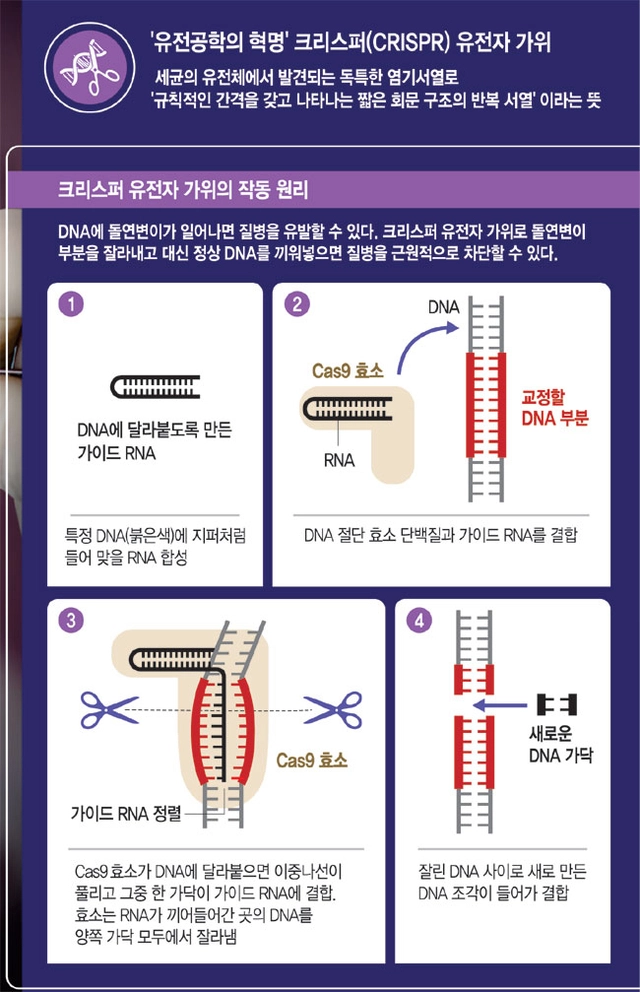 그래픽=권호영 기자
