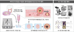 “암 조직 모양만 보고 예후 예측”...암 성장 환경 모사 기술 개발