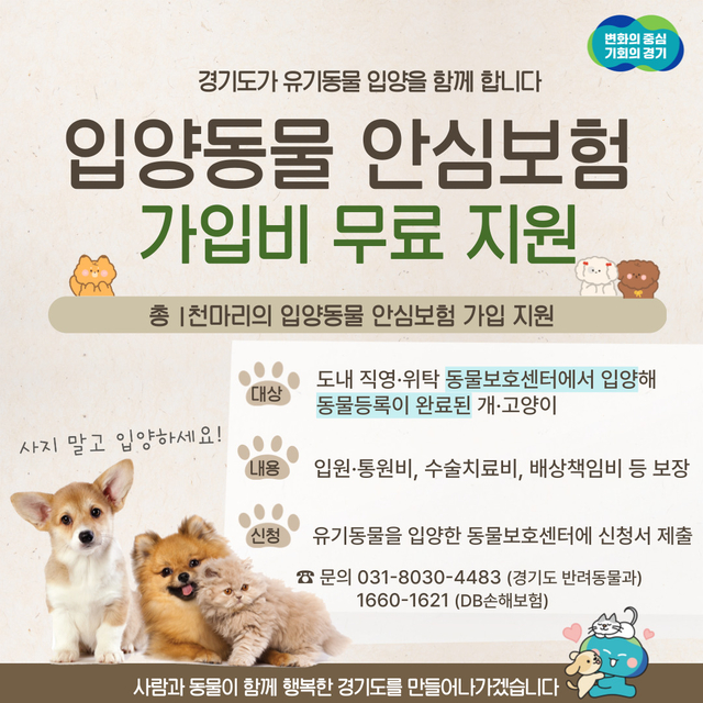 경기도가 유기동물 입양자를 대상으로 반려동물보험(펫보험) 가입을 지원하는 ‘경기도 입양동물 안심보험 무한돌봄 지원사업’ 신규 가입자 모집을 시작한다. 경기도 제공