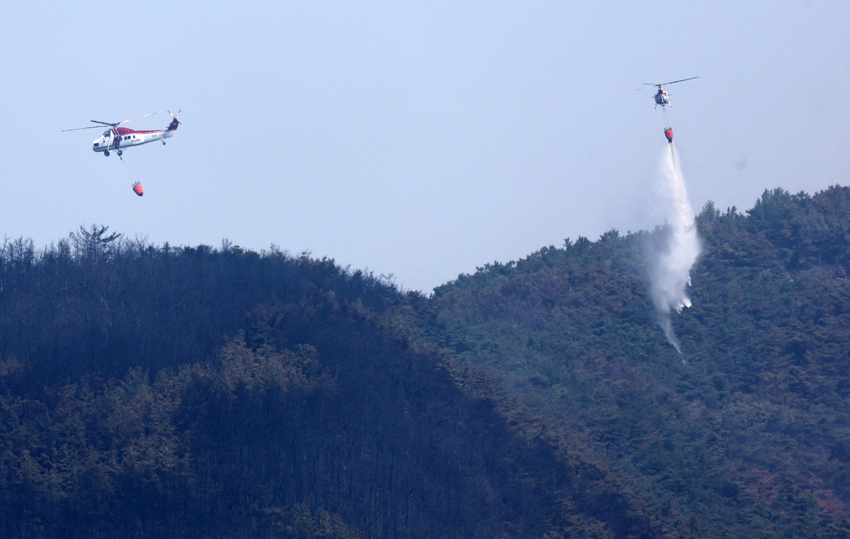 함지산 산불 재확산, 결국 국가소방동원령 다시 발령