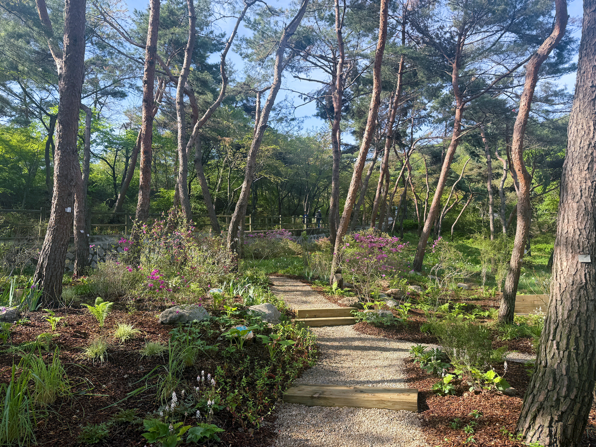 "집을 나서면 5분 안에 정원이 펼쳐진다"...서울시, 5월까지 매력·동... - 뉴스 썸네일 이미지