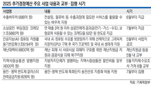 추경 12조원 ‘관리 대상’ 에 선정… 70%는 7월말까지 집중 집행키로
