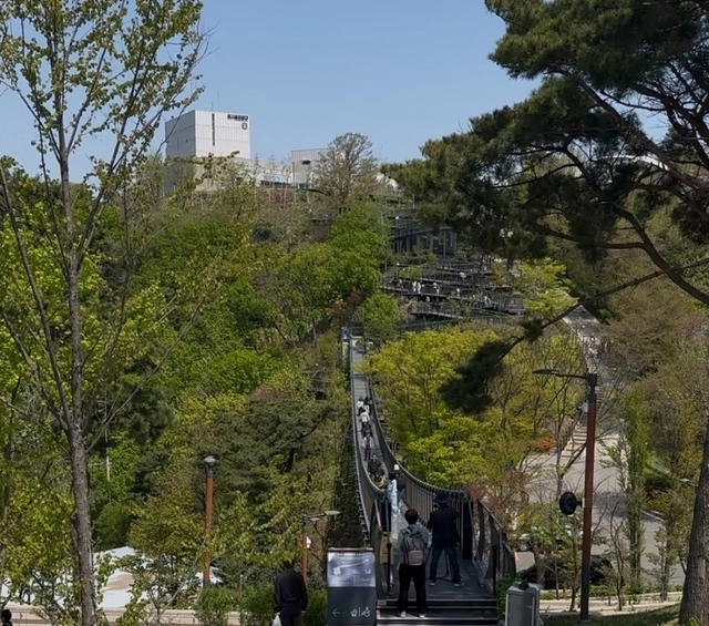 김포시 애기봉평화생태공원 조강전망대 스타벅스로 향하는 길 전경. 곽선미 기자