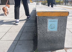 “뿌숑아, 소변 금지라고 써놓은 거 보이지?”[포토 에세이]