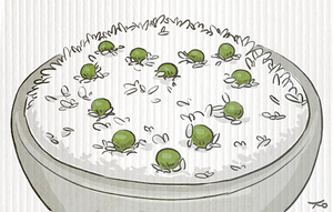집밥과 외식[유희경의 시:선(詩:選)]