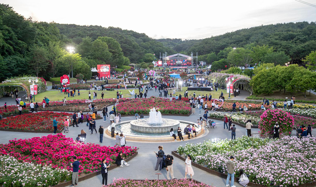 지난해 5월 열린 제16회 울산대공원 장미축제에서 관람객들이 장미원을 둘러보고 있다. 울산시청 제공