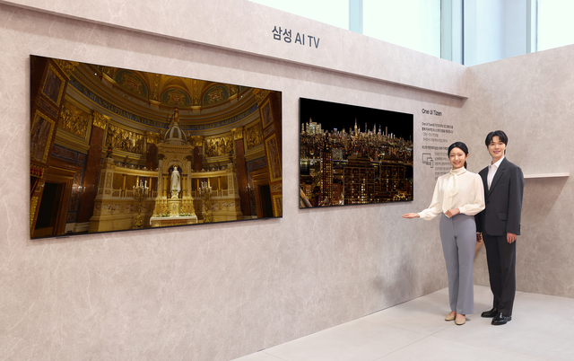 삼성전자는 디자인 TV, 퀀텀닷 TV, 프리미엄 TV 등에 이어 지난해 인공지능(AI) TV를 처음으로 선보이면서 TV 시장을 선도하고 있다. 사진은 삼성전자 모델이 최신형 AI TV를 소개하는 모습. 삼성전자 제공