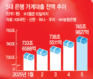 DSR 규제 강화 ‘풍선효과’… 보름새 가계빚 2.8조↑