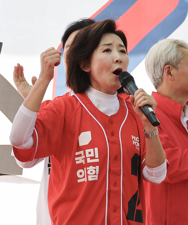 20일 오후 서울 송파구에서 열린 ‘송파를 새롭게’ 유세에서 나경원 의원이 시민들에게 김문수 국민의힘 대선 후보 지지를 호소하고 있다. 2025.05.20 박윤슬 기자