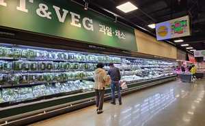 한달 만에 ‘매출 목표 121%’…  식품 특화매장 승부수 통했다 [경제전쟁 파고, 압도적 경쟁력으로 넘어라]