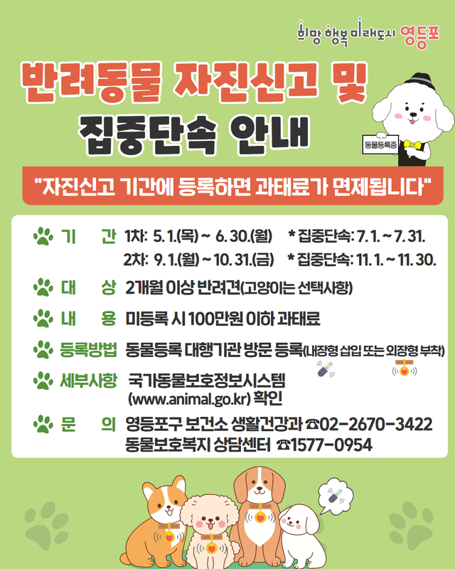 서울 영등포구의 반려동물 자진신고 포스터. 영등포구청 제공