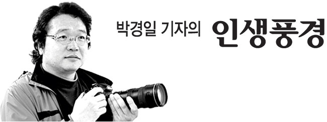 유독 한국만 내린 출국납부금[박경일 기자의 인생풍경]