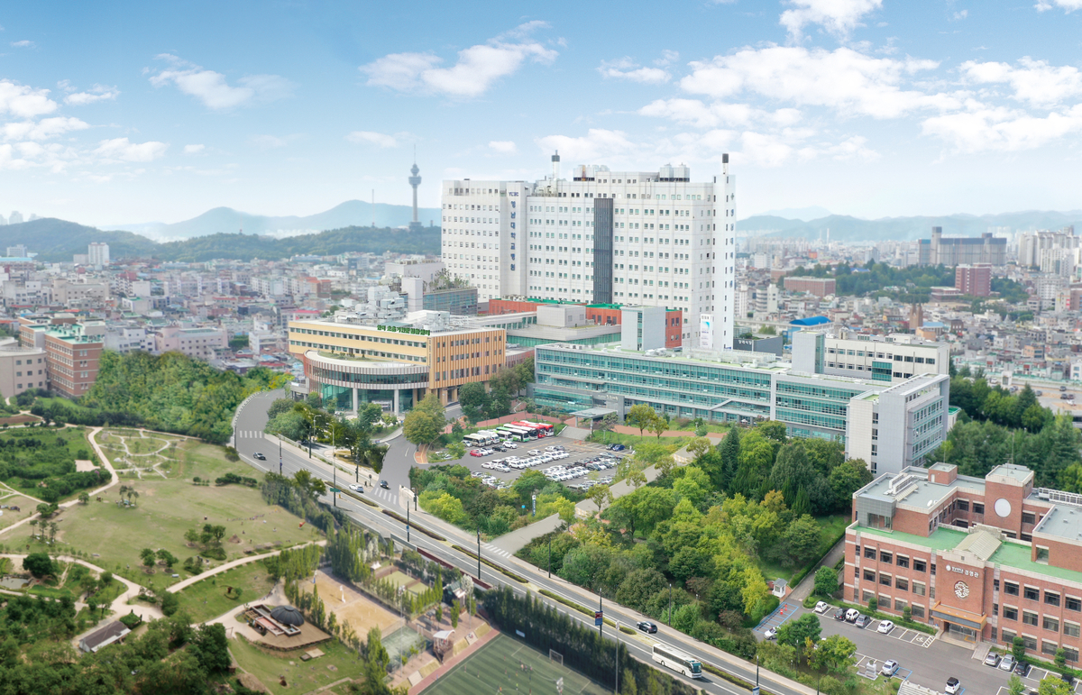 영남대병원, 정신건강 입원 평가 '최고'.. 환자 중심 의료 서비스 입증