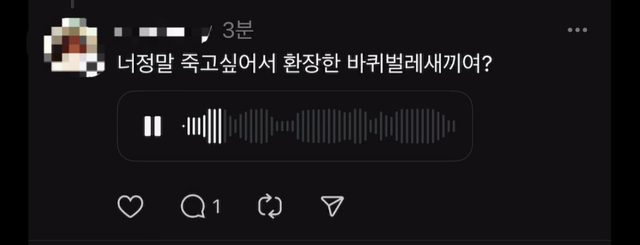 박모(33) 씨가 피해자 SNS에 남긴 모욕성 댓글. 독자 제공