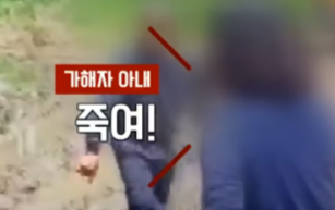 JTBC 유튜브 캡처