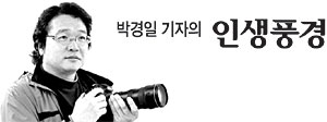 ‘성주 참외’ 먹으며 얻은 깨달음[박경일 기자의 인생풍경]