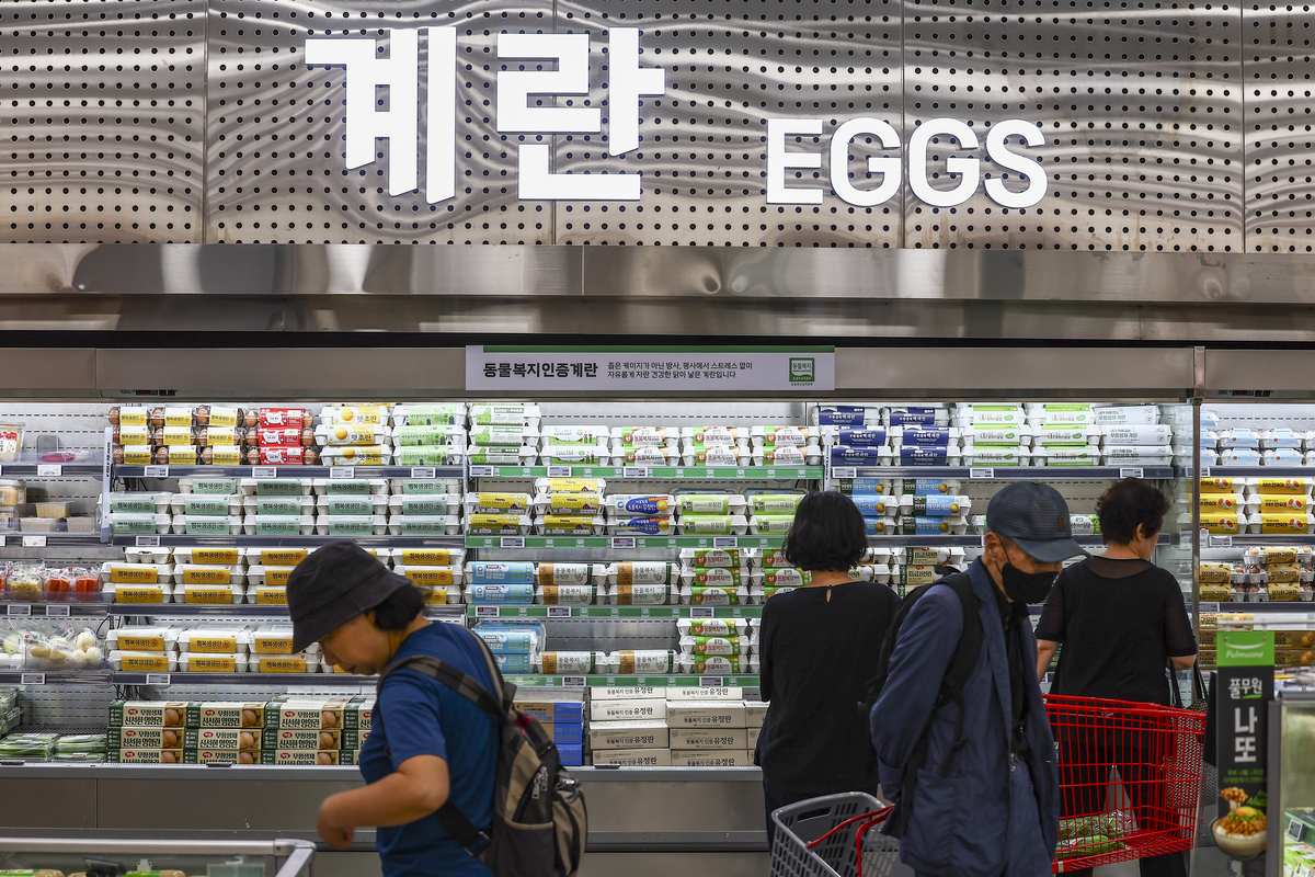 대형마트, 계란값 인상 막기 총력…이윤 줄이고 한 판 8000원 미만 유지