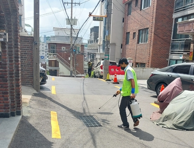 서울 관악구 관계자가 하절기 비상방역을 실시하고 있다. 관악구청 제공