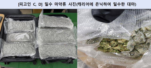 올해 상반기 부산지검이 압수한 마약류 사진. 부산지방검찰청 제공