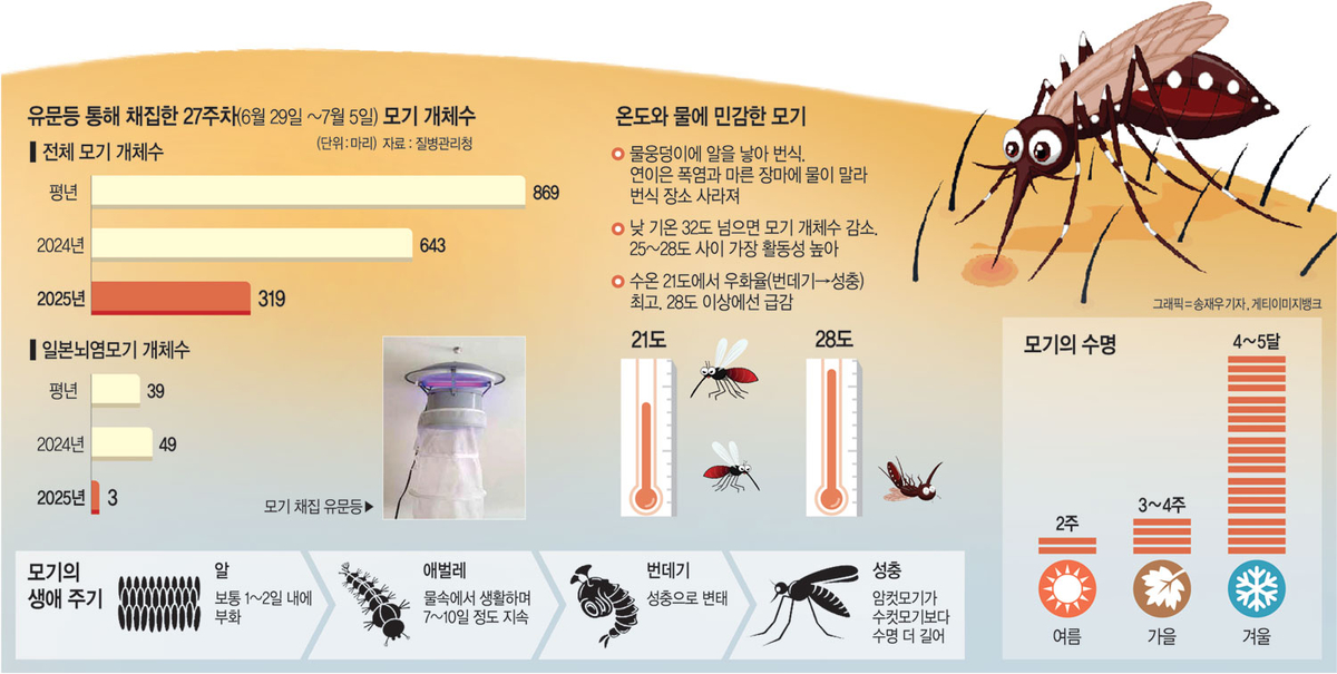 너무 더워서… 모기, ‘씨’가 말랐다