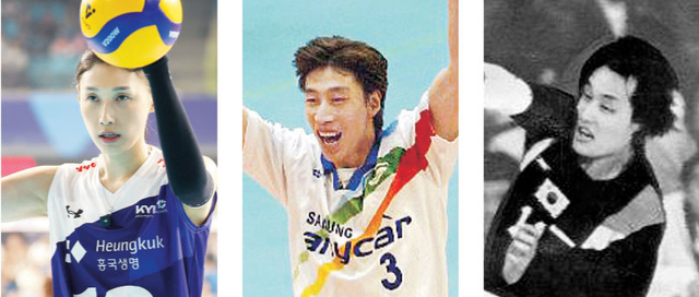 왼쪽 사진부터 김연경, 김세진, 강만수.