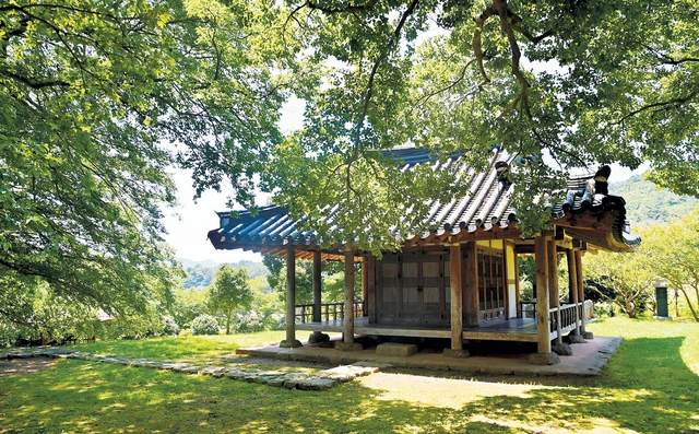 영산강 변의 운치 있는 정자 식영정. 팽나무와 푸조나무 노거수 그늘 속에 있다.