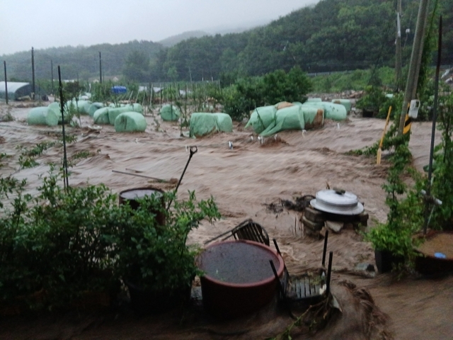 호우경보가 내려진 17일 오전 충남 예산군 봉산면에서 산사태로 떠밀려온 흙더미가 한 축사를 덮쳐 소가 매몰돼 있다. 사진은 기사와 직접적 관련이 없음. 독자 제공 연합뉴스