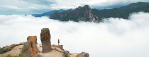 구름바다 위 우뚝 솟은 울산바위… 신이 그린 ‘거대 화폭’ 에 빠지다[박경일기자의 여행]